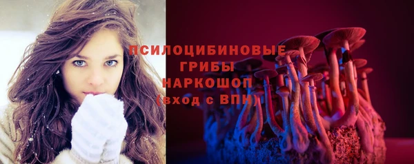 индика Белокуриха