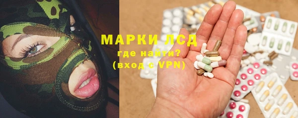 гидра Богданович