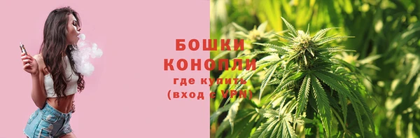 крисы Богородицк