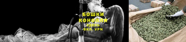 соль ск Богородск