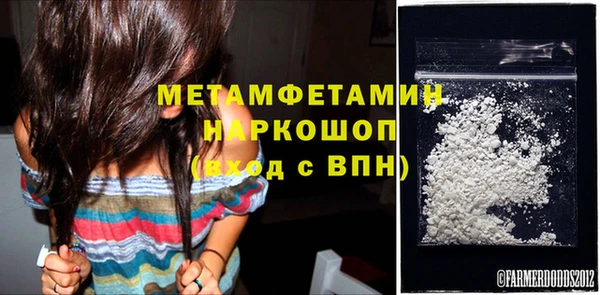 гидра Богданович