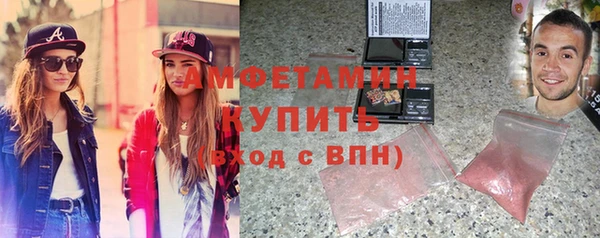 гидра Богданович