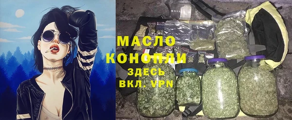 гидра Богданович