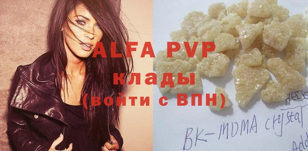 гидра Богданович