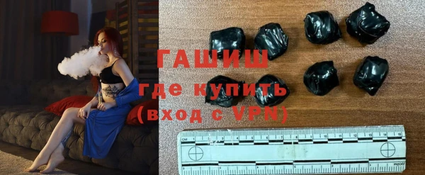 гидра Богданович