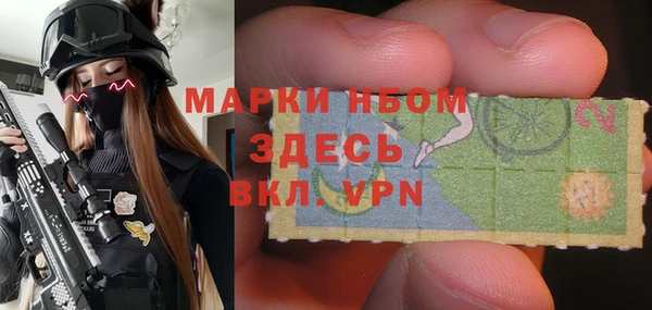 индика Белокуриха
