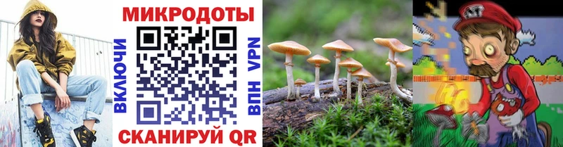 blacksprut сайт Богданович Галлюциногенные грибы Magic Shrooms